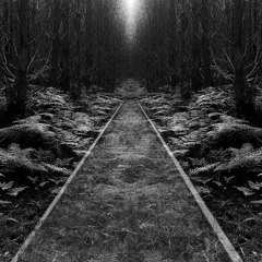 Petit Chemin