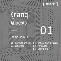 PREMIERE: Anoesis - Formations 09 [Kranq]