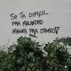 Mc GP— Dinheiro no bolso, sorriso no rosto
