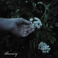 Charming - Genevieve Stokes