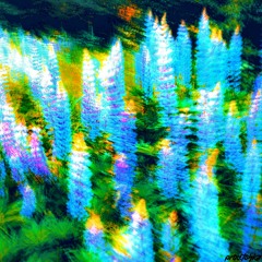 Quest (on an adventure type beat)