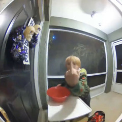 Jaydes / Evvls - trap