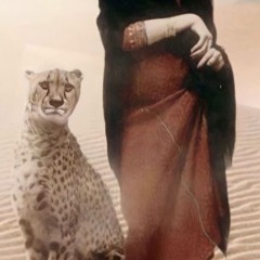 Salam El Hob Ya Mdalaa