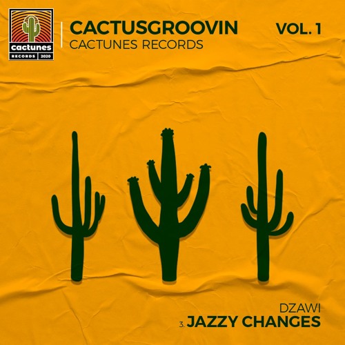 Dzawi - Jazzy Changes