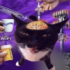 Fuck$leep (prod. slxwly)