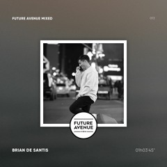 Future Avenue Mixed 013 - Brian De Santis