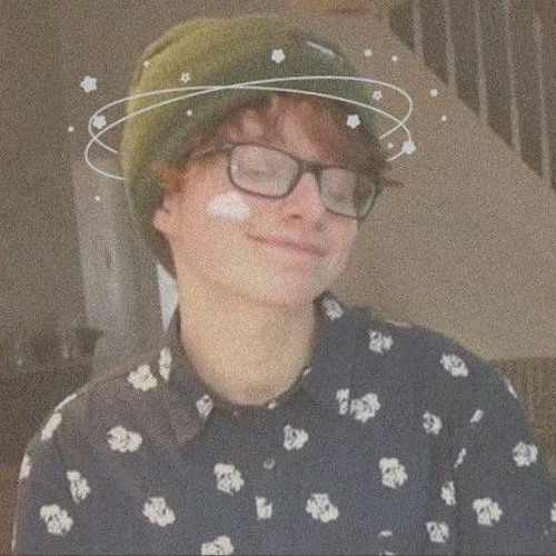 Boys will be bugs // Cavetown (Cover)