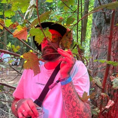 Lost In The Source - Ansell