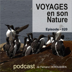 VSN020_NORVEGE_Ornoya Island_F Deroussen