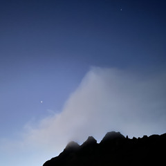 Lately  p. medusa kb