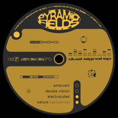 PREMIERE: DJ Seen - Double Vision
