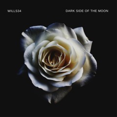 The Dark Side of the Moon - Wills34