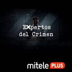 Expertos del crimen 1x18 FULLEPISODE -605550