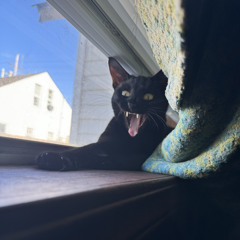 Mr.