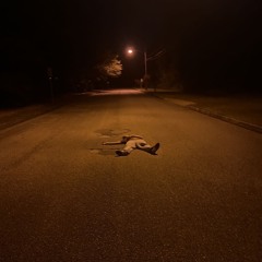 Asphalt (prod. Sensational)