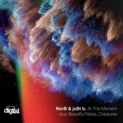 NorB & juSt b - At This Moment [Stripped Digital]