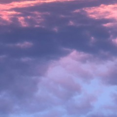 lovers & fools vol. III