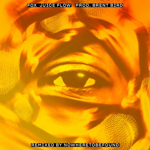 Fox Ft. Brent Bird - Juice Flow (Nowheretobefound Remix)
