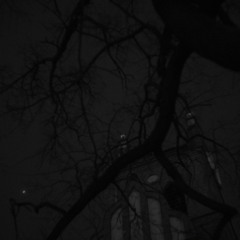 вместе и умрем даже того не вспомнив