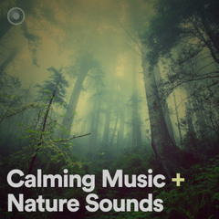 Calming Music   Nature Sounds