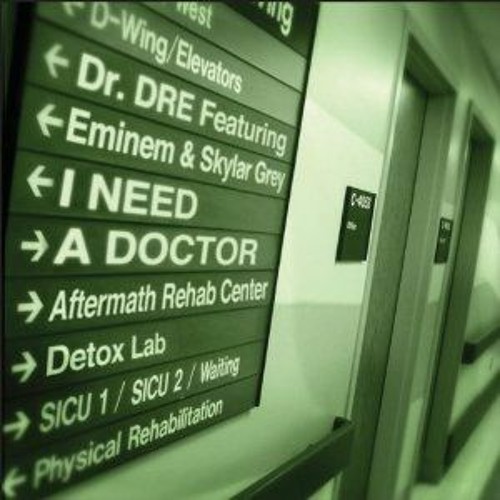 Dr. Dre Ft. Eminem and Skylar Grey - I Need A Doctor (D'n'B Remix)