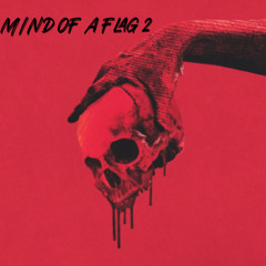 Mind Of A Flag 2