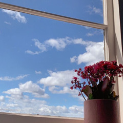 Khung cửa biếc-Raditori ( bản trên mái nhà )