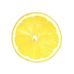 [침대점령]  LEMON cover
