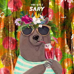 VIBE by DJ Sary vol.2