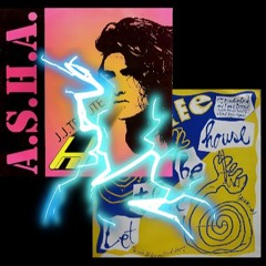 Asha V Deskee - RAVERZ "Let There Be House" Mashup 🙂🎹🏠