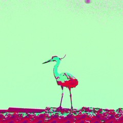 Funkin' Crunkin' dj set