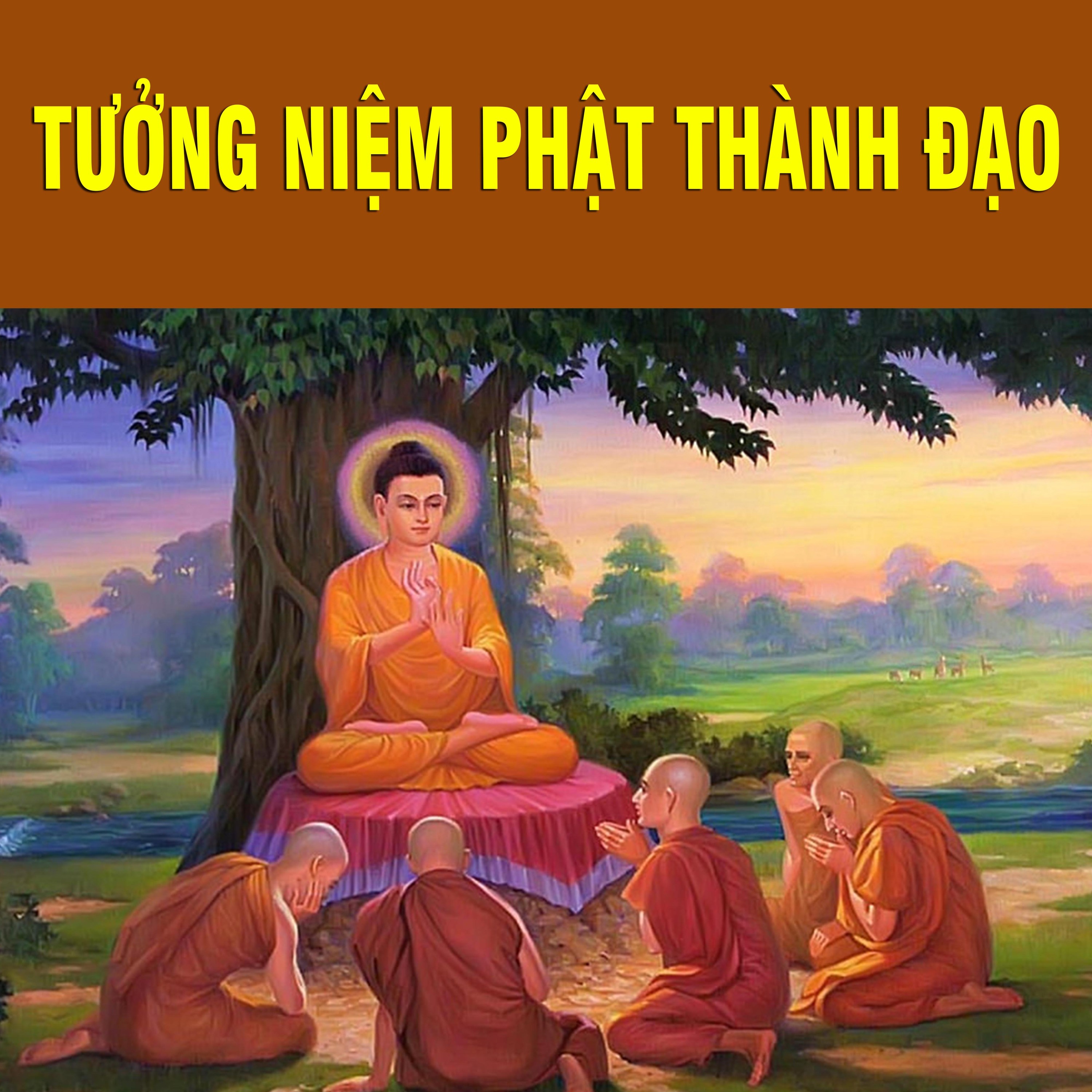 Thích Bảo Nguyên