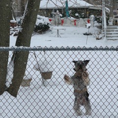 It’s Snowing Outside