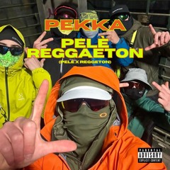 RHOVE X REGGAETON (PEKKA MASHUP)