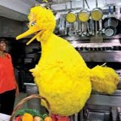 Justifiable Crashout/ THE BIGGEST BIRD