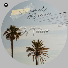 SUMMER BREEZE 2K25 |DJ TURNOVER|