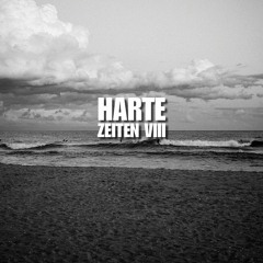 HARTE ZEITEN VIII by Birkenlauber