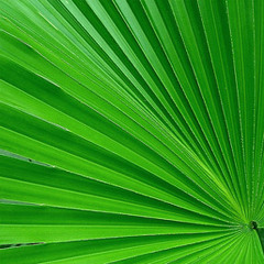 unreleased version of the song Float Away by David Garza