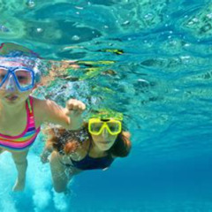 Best Snorkeling Caribbean Allinclusive Resort Prices Reviews