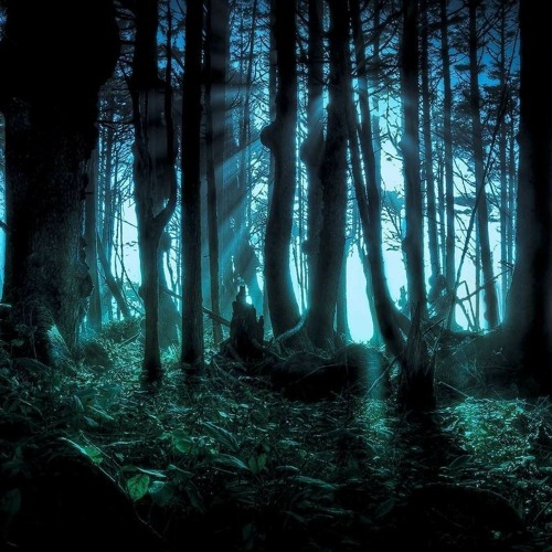 Dark Selects-MAY 2021