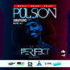 PULSION AMAPIANO VOL.2    By Dj P3rFe(T [The Perfect]