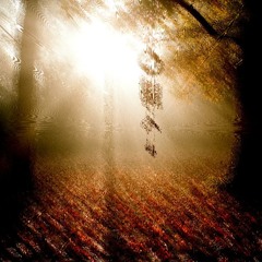 За порогом тишины