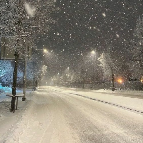 zeromane - FROZENWAVES (zerx flip)