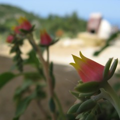 Polska efter Brand-Jon (Anton Jonsson, Özün Usta: drums, İsak Hedtjarn, Jonas Liljeberg: clarinets)