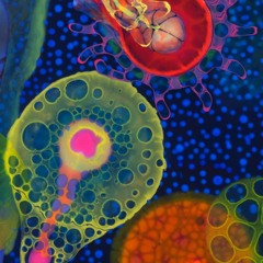 Far Away (feat. SKYENCE)