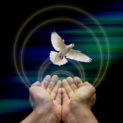 PEACE
