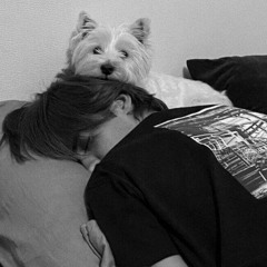 حيل بيه استاهل اني