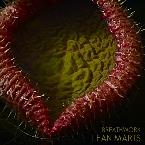 Premiere: LEAN MARIS - Breathwork [LM003] (FREE DL)