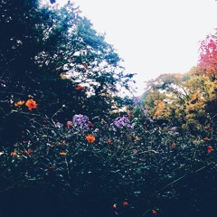 can u (produced by smokerose & iof)