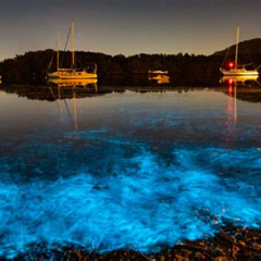 Review Special Price Bioluminescent Kayak Adventure From San Juan